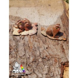 2 grenouilles