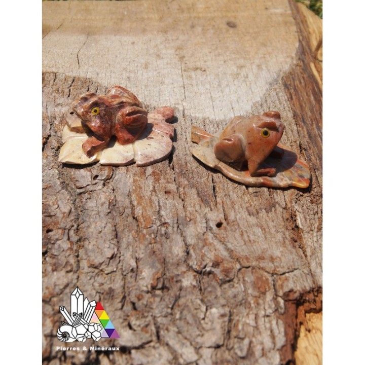 2 grenouilles
