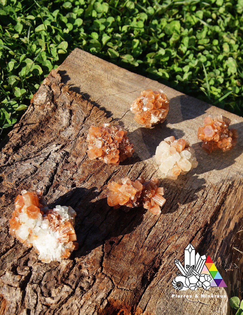 Petite Aragonite brute