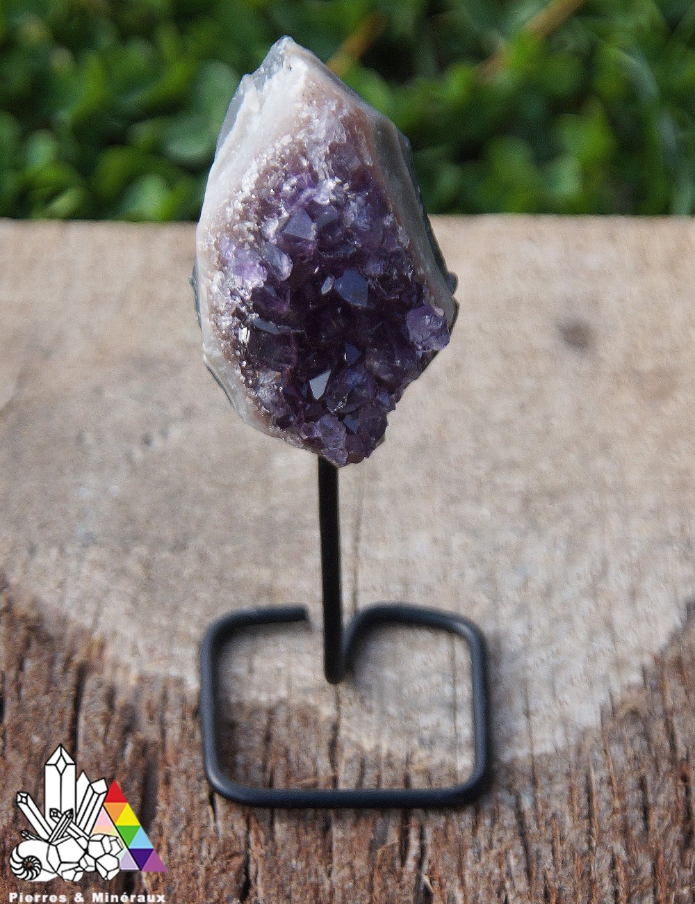 Mini Druses d'Améthyste sur socle