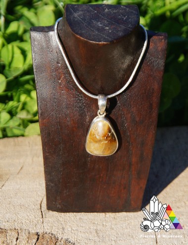 Pendentif en Quartz Rutile - Beau Veinage
