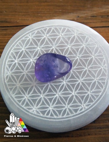 Plaque de Sélénite - Fleur de Vie