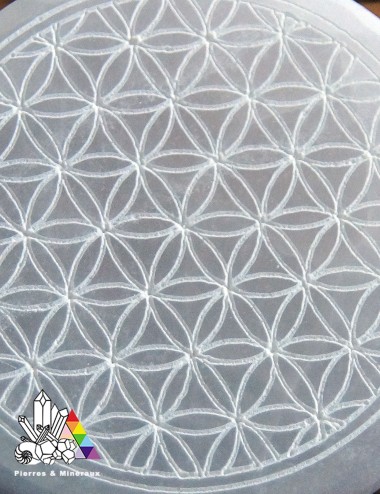 Plaque de Sélénite - Fleur de Vie