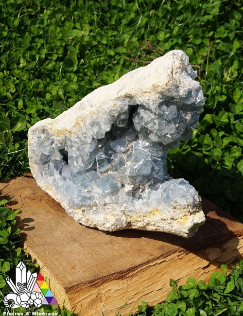 Grande Célestine - Brute