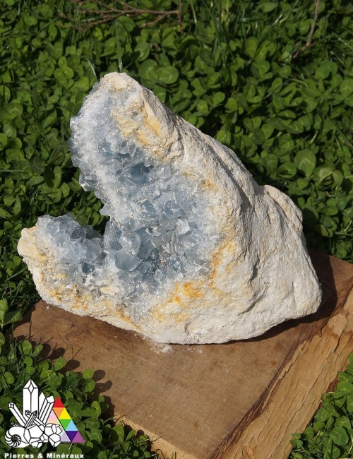 Grande Célestine - Brute