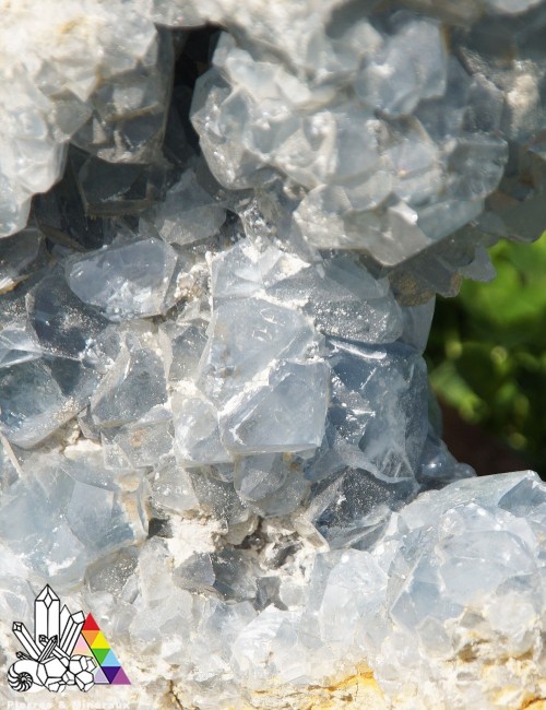 Grande Célestine - Brute