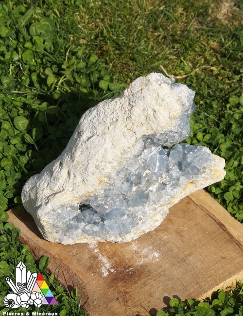 Grande Célestine - Brute