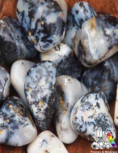 Agate Dendrite ou Dendritique