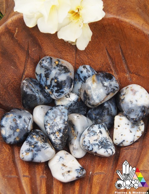 Agate Dendrite ou Dendritique