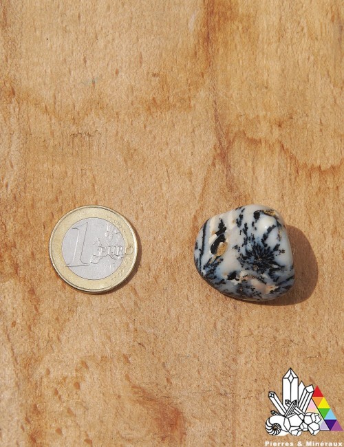 Agate Dendrite ou Dendritique