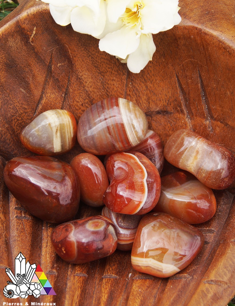 Agate Marron