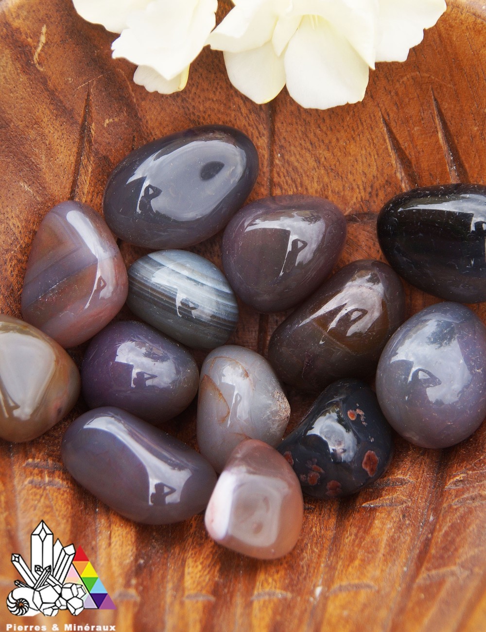 Agate Violette