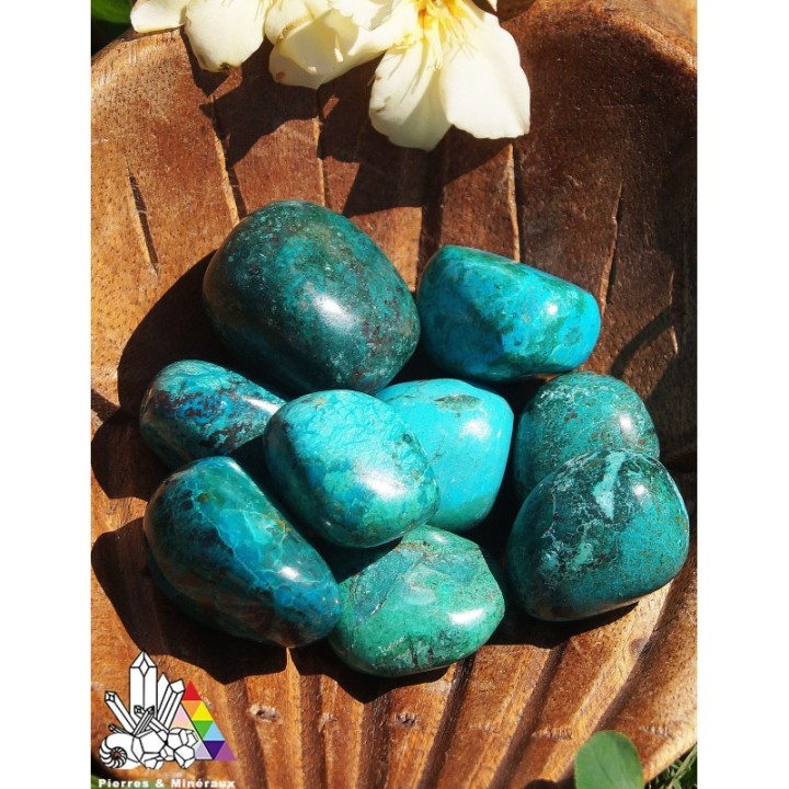 Chrysocolle du Pérou - Pierres Roulées - Qualité AAA - Pierres et Minéraux