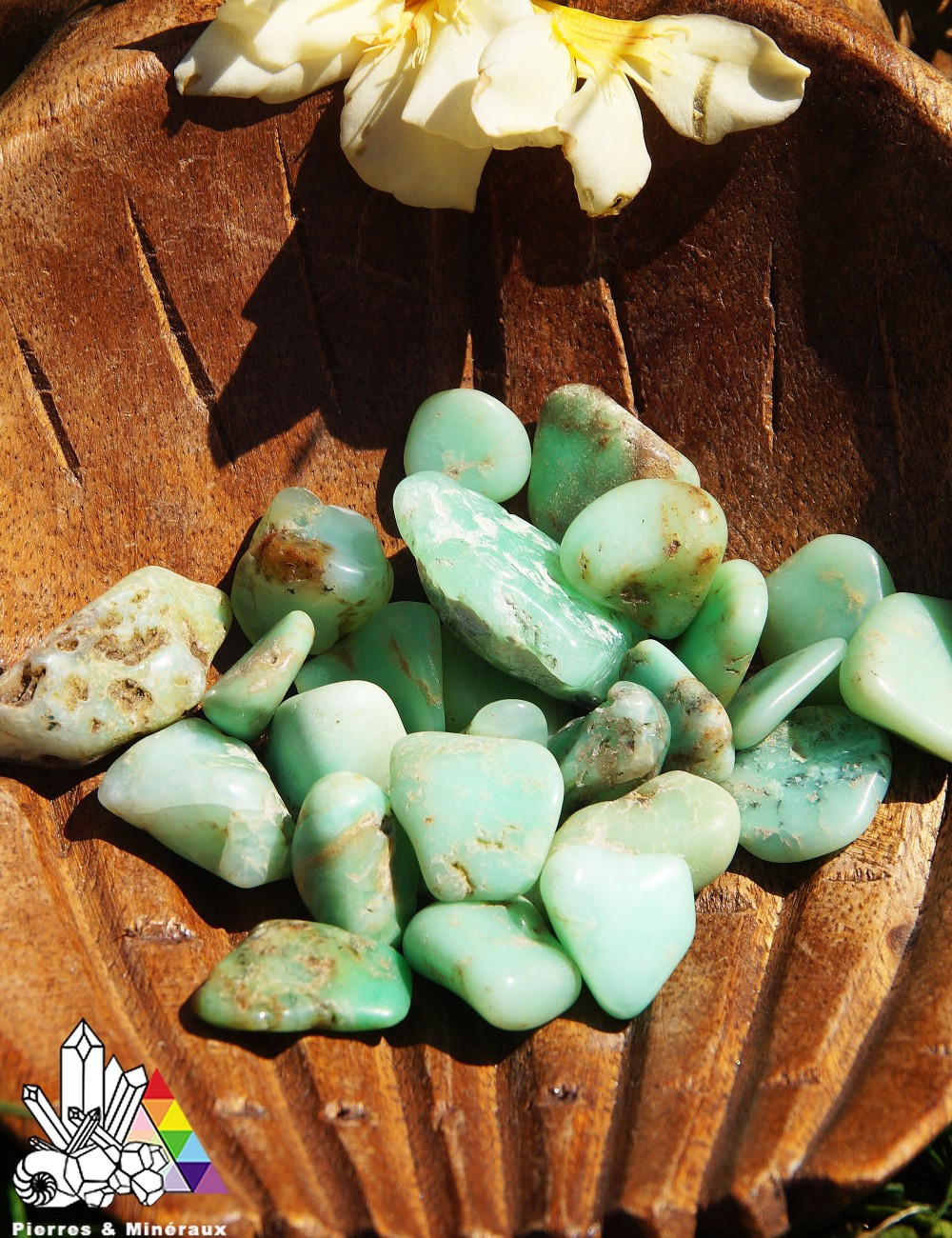 Chrysoprase - Petit Modèle