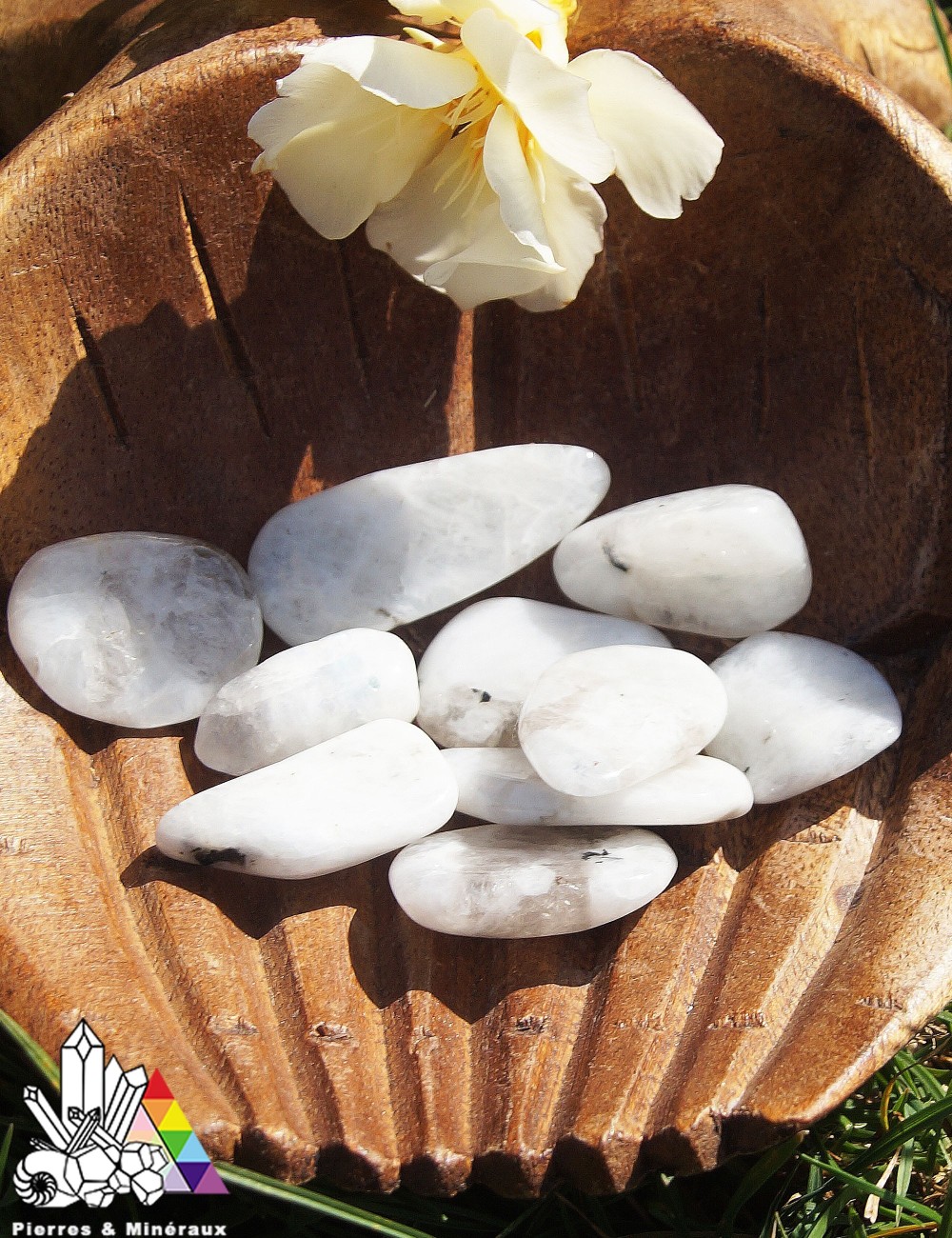 Labradorite - Blanche