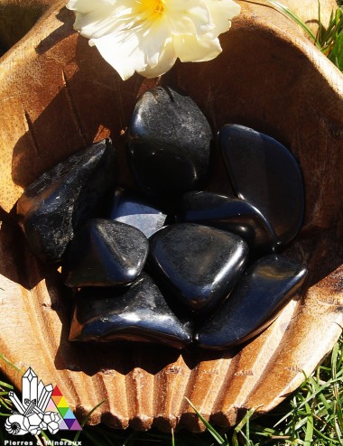 Shungite - Grand Modèle