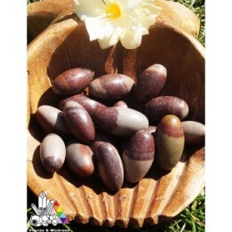 Shiva Lingam