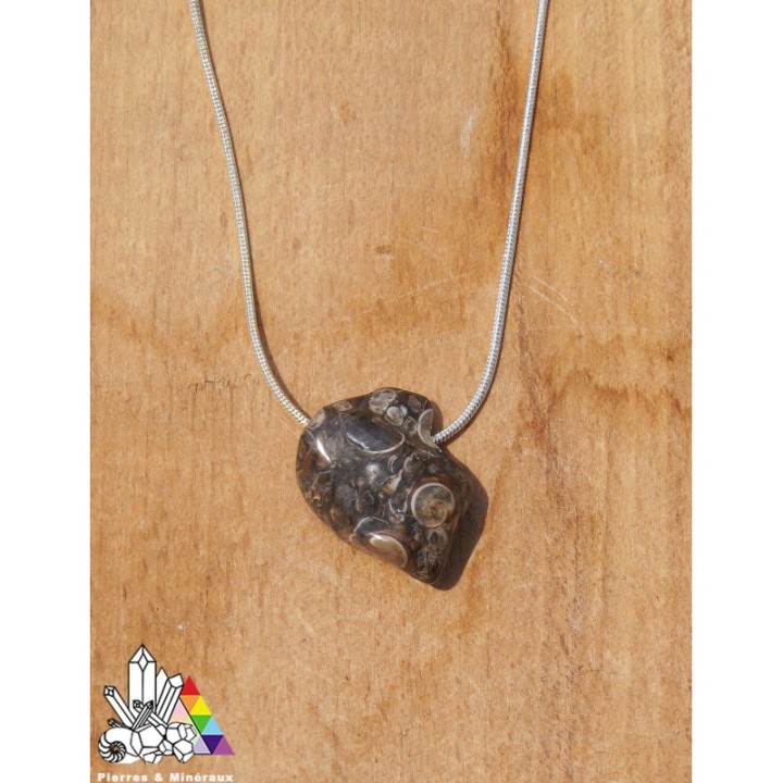 Agate Turitelle ou Fossile - Lithothérapie - Pierres Percées - Pierres et Minéraux
