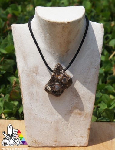 Agate Turitelle ou Fossile