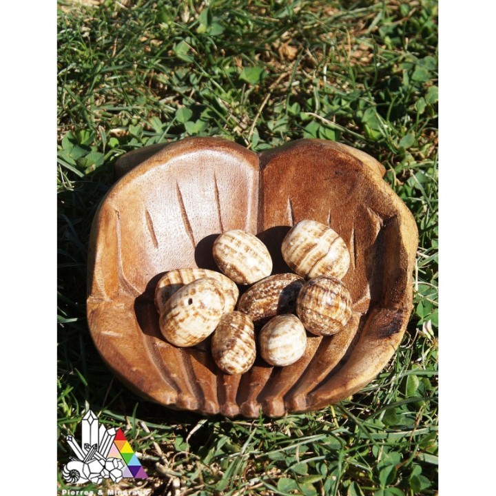 Aragonite - Pierres Percées - Lithothérapie- Pierres et Minéraux - Vente en ligne