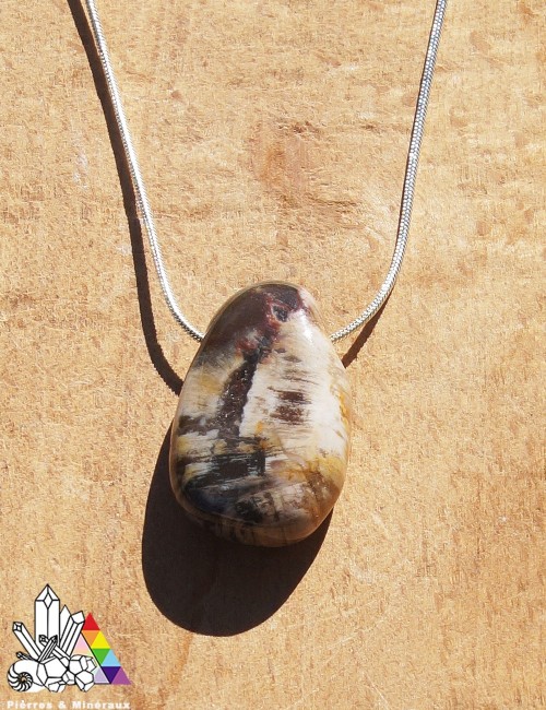 Bois Silicifié - Fossile