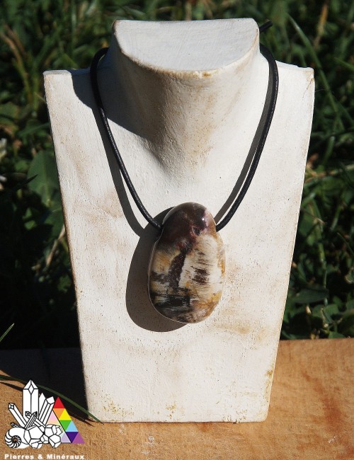 Bois Silicifié - Fossile