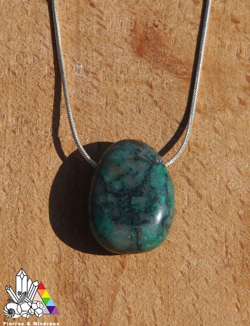 Chrysocolle