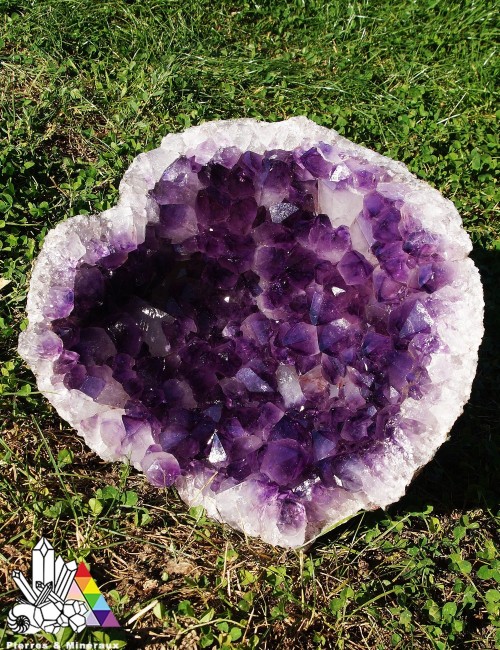 Coupelle d'Améthyste AAA - Brésil