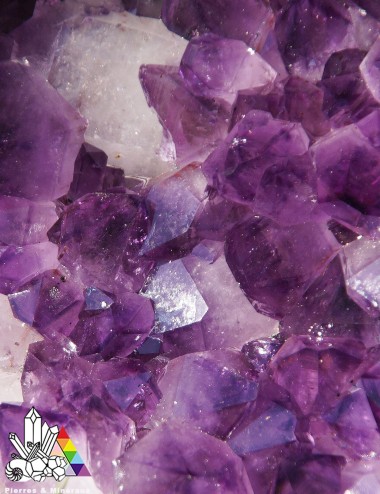Coupelle d'Améthyste du Brésil - Grade AAA - Lithothérapie-  Pierres et Minéraux