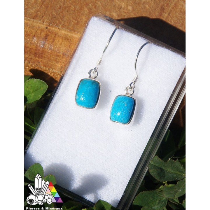 Boucles d'Oreilles en Pierre Naturelle - Turquoise - Lithothérapie - Pierres et Minéraux