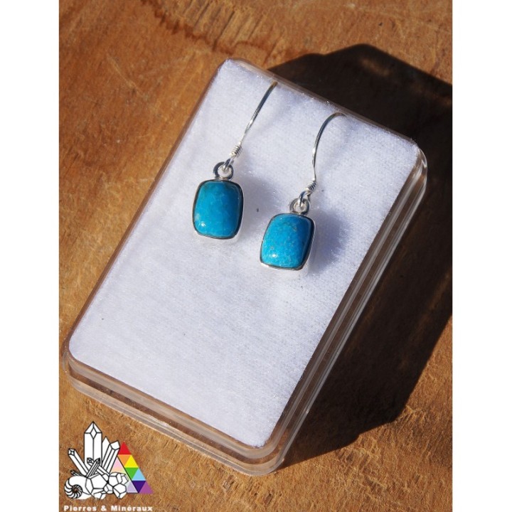 Boucles d'Oreilles en Pierre Naturelle - Turquoise - Lithothérapie - Pierres et Minéraux