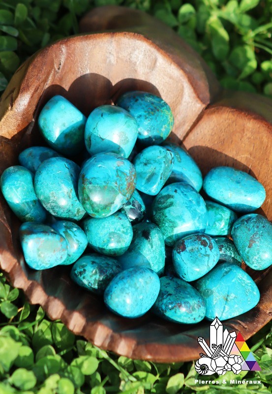 Chrysocolle